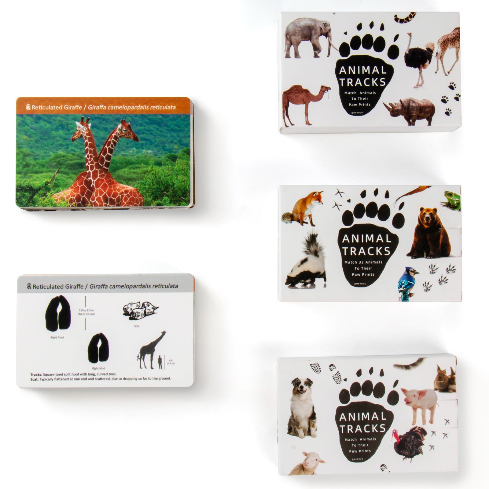 Montessori Animals Flash Cards Games 3pcs set