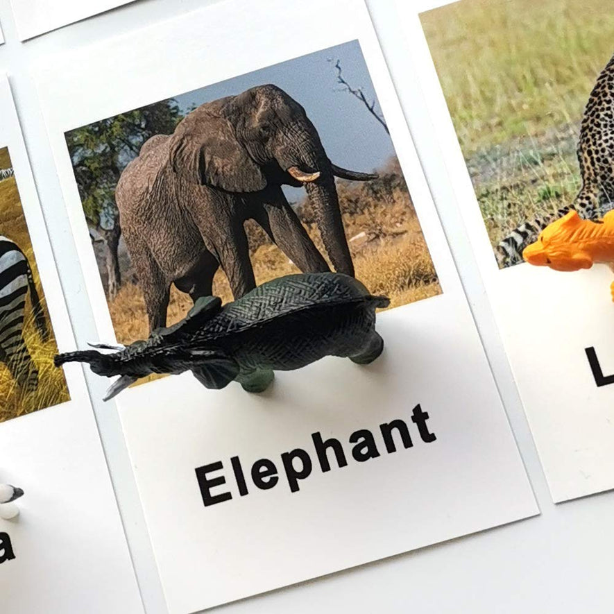 Montessori Animal Match - Forest Animal