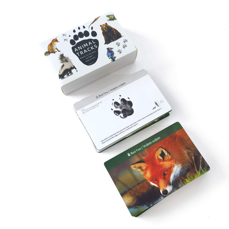 Montessori Forest Animal Track Game Flash Cards