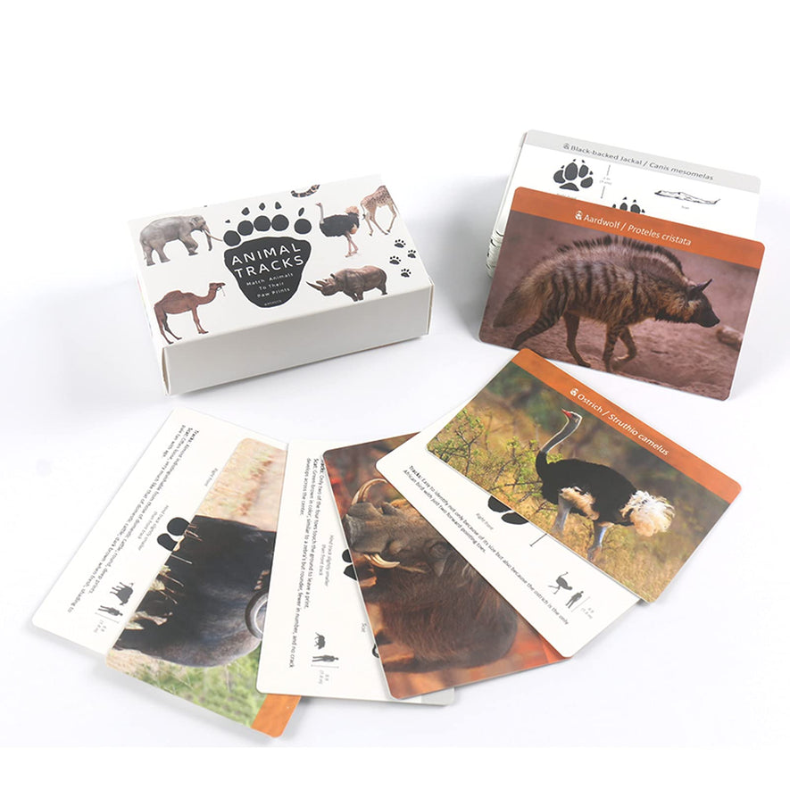 Montessori Animal Track Game Preschool Flash Cards for Kids