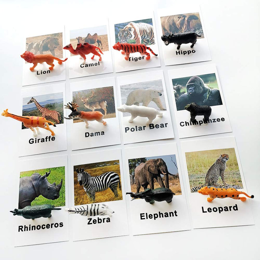 Montessori Animal Match - Forest Animal