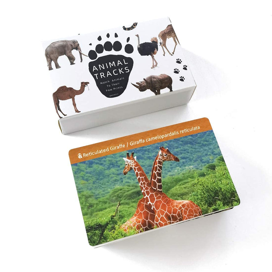 Montessori Animal Track Game Preschool Flash Cards for Kids