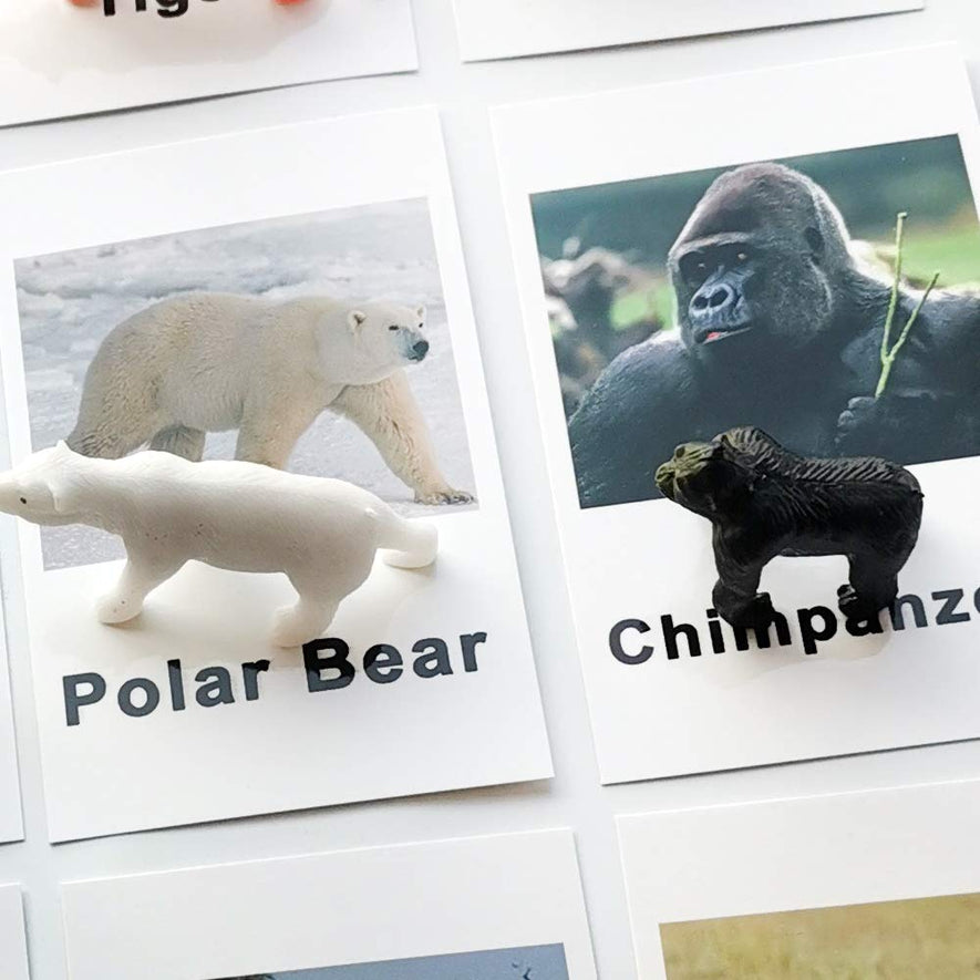 Montessori Animal Match - Forest Animal