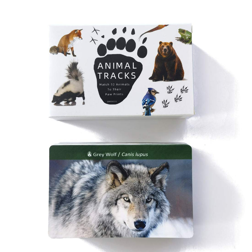 Montessori Forest Animal Track Game Flash Cards