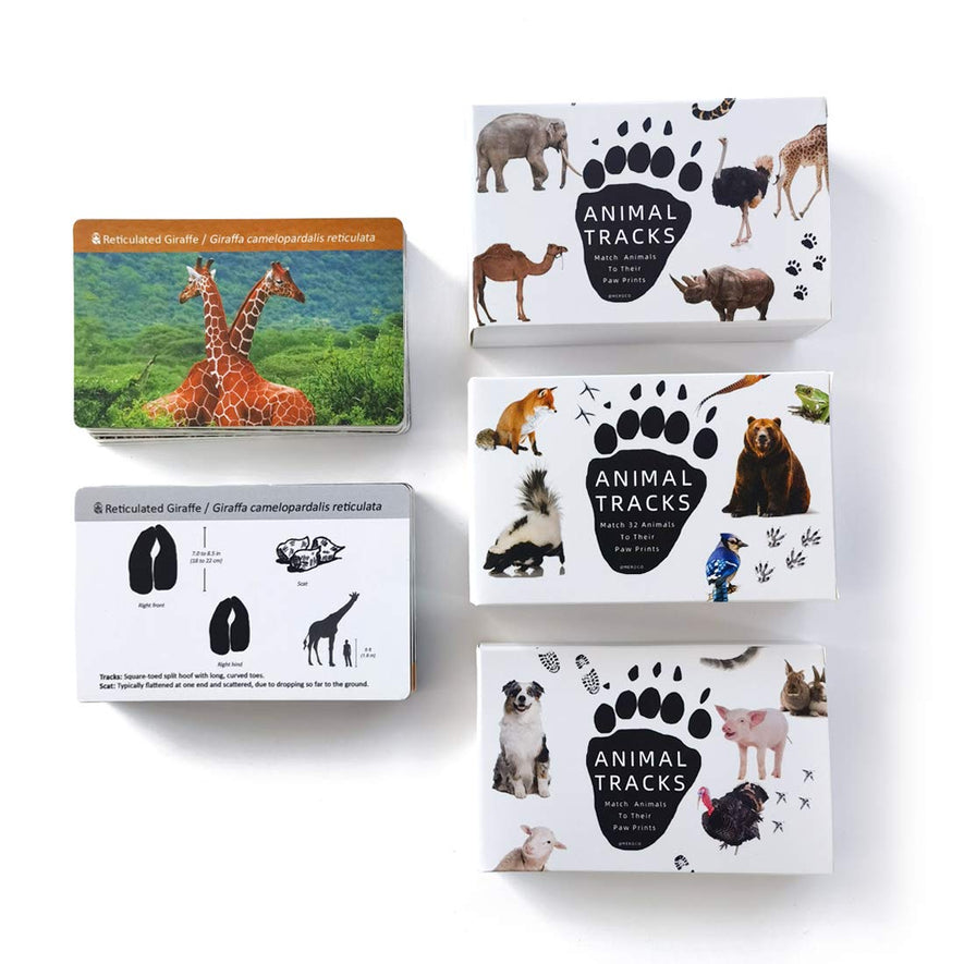 Montessori Animals Flash Cards Games 3pcs set