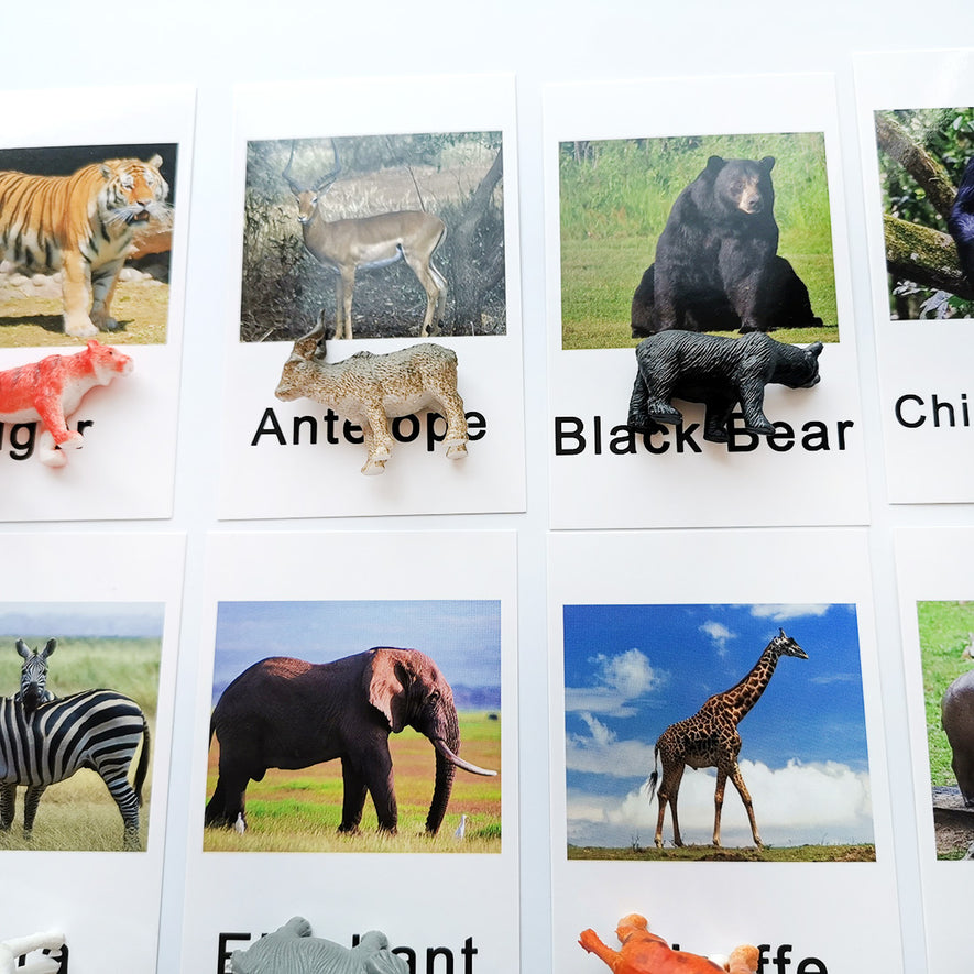 Montessori Animal Match -Zoo Animal