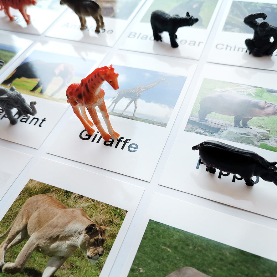 Montessori Animal Match -Zoo Animal