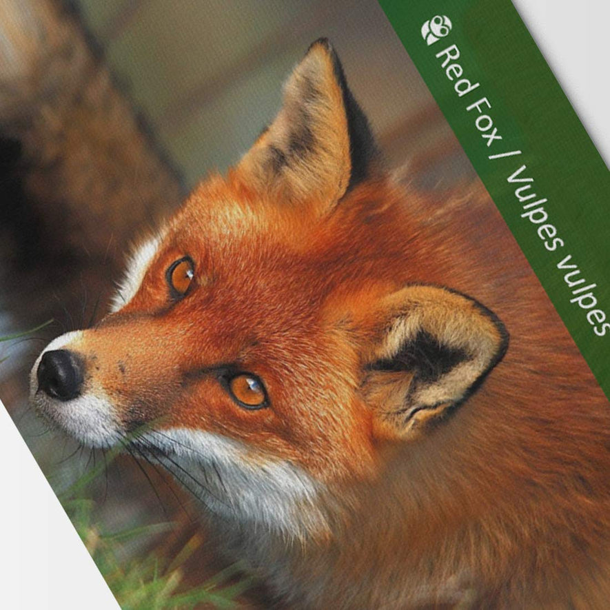 Montessori Forest Animal Track Game Flash Cards