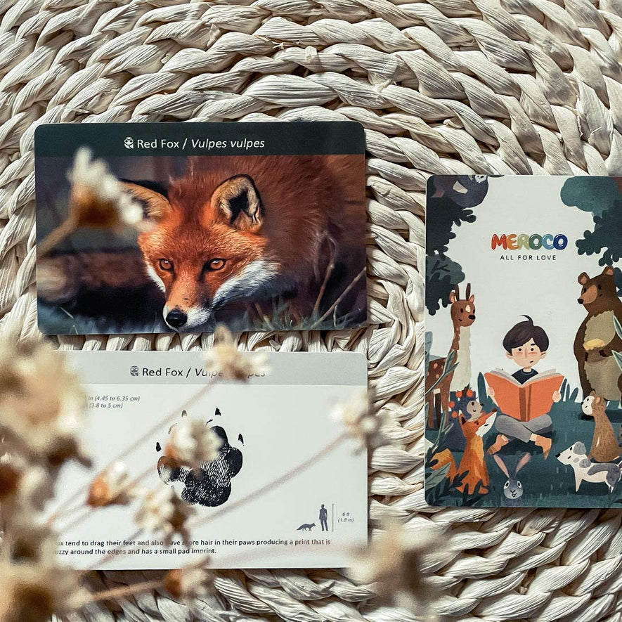 Montessori Animals Flash Cards Games 3pcs set