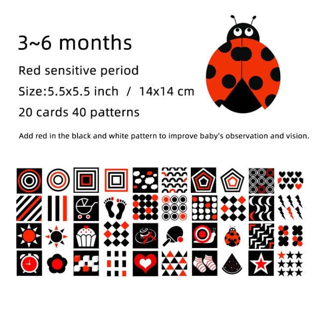 Montessori Baby High Contrast Flashcards