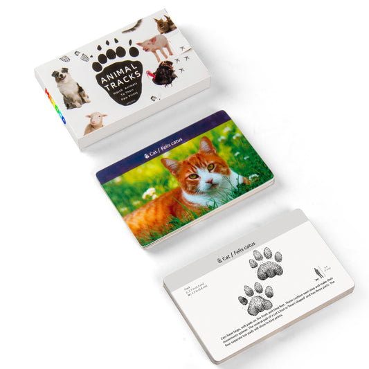 Montessori Animal Tracks Flash Cards Game