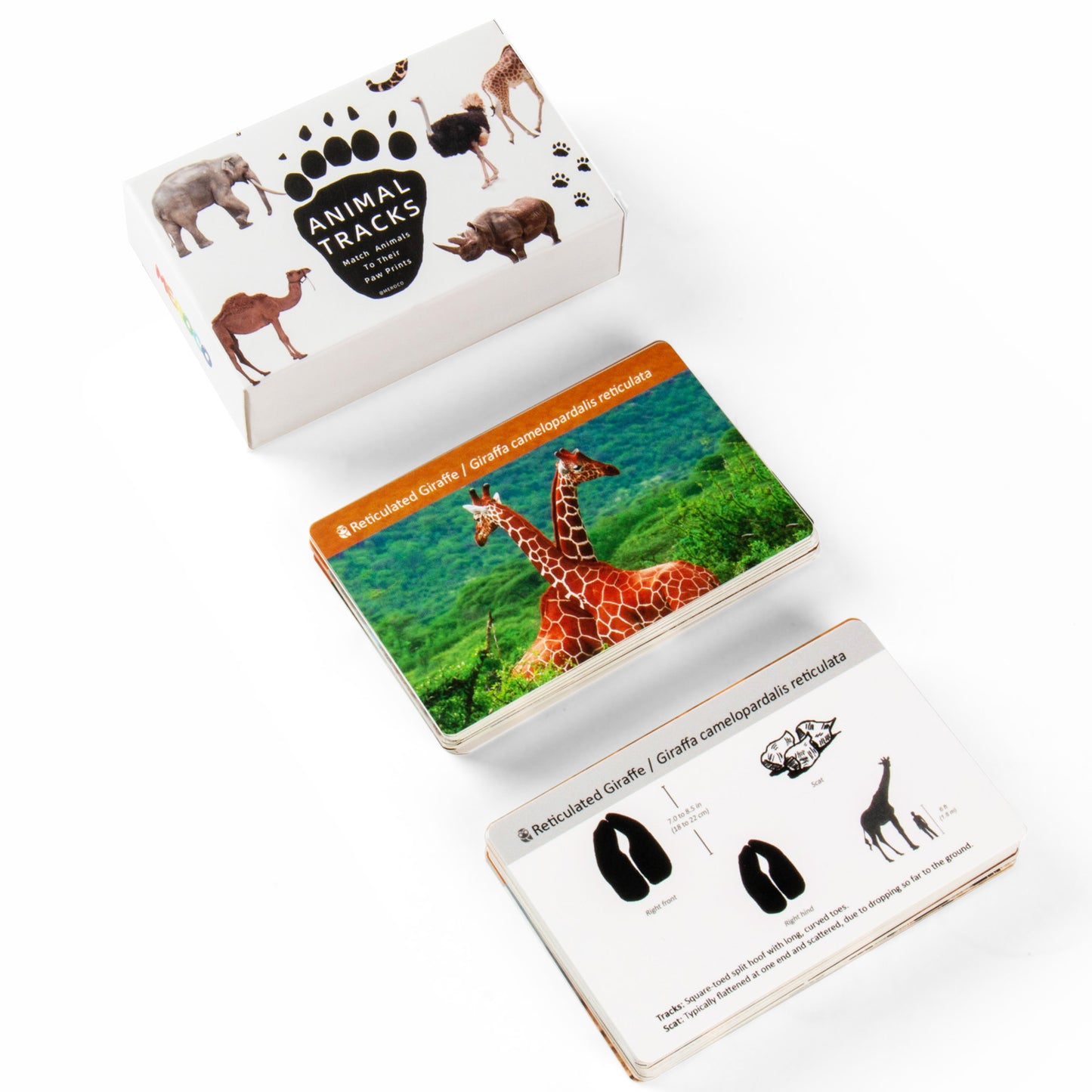 Montessori Animal Track Game Preschool Flash Cards for Kids