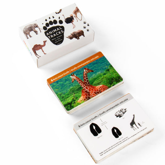 Montessori Animal Track Game Preschool Flash Cards for Kids