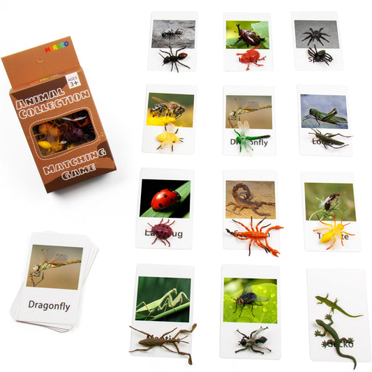 Montessori Animal Match - Insect Animal