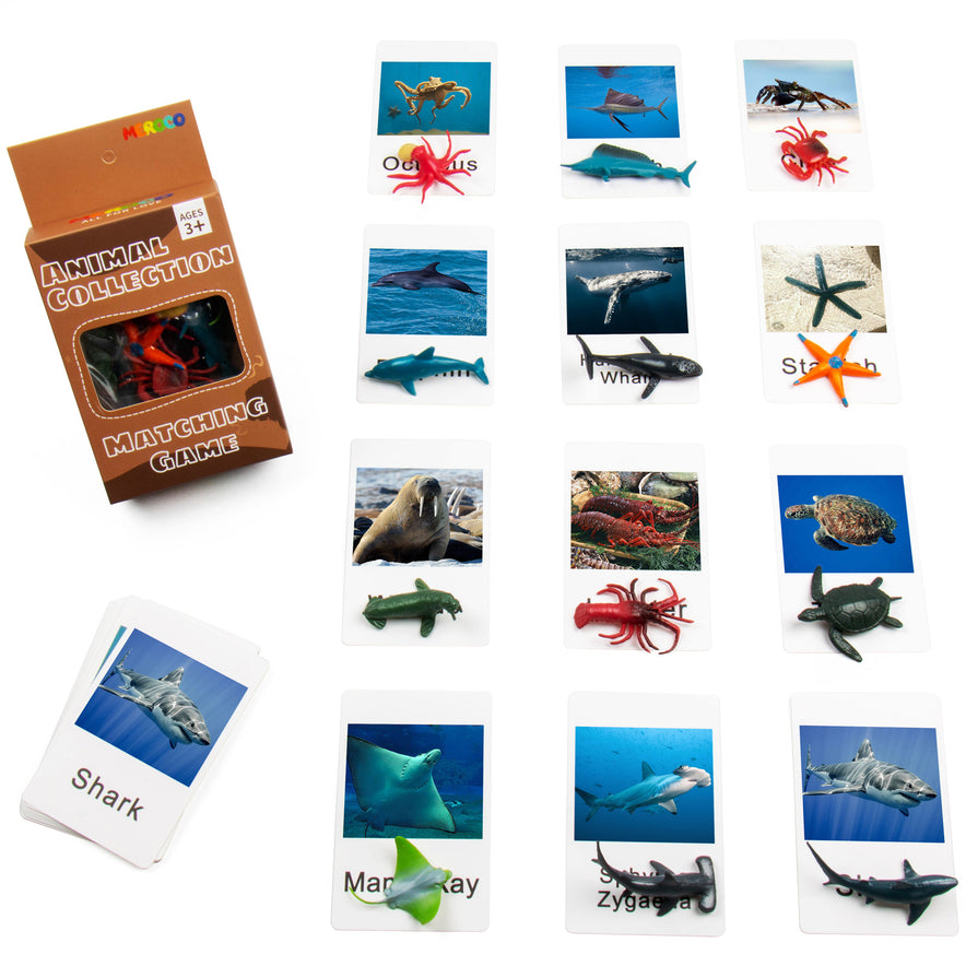 Montessori Animal Match - Marine Animal