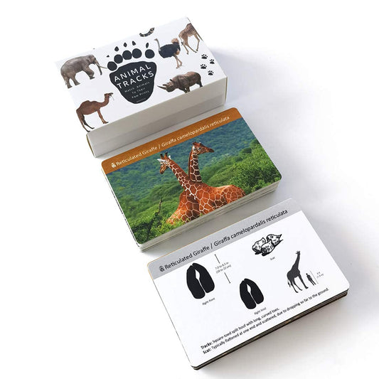 Montessori Animal Track Game Preschool Flash Cards for Kids