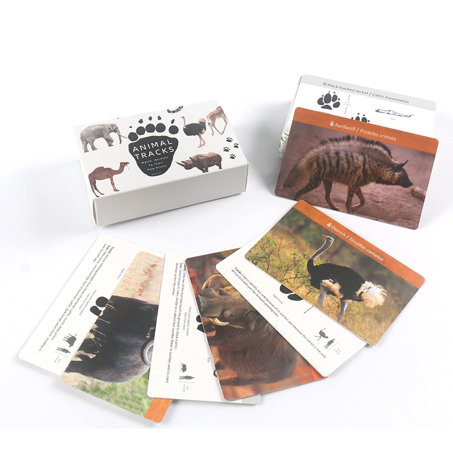 Montessori Animal Track Game Preschool Flash Cards for Kids