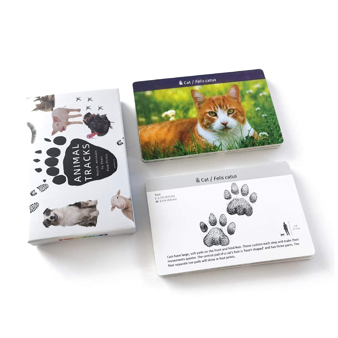 Montessori Animal Tracks Flash Cards Game