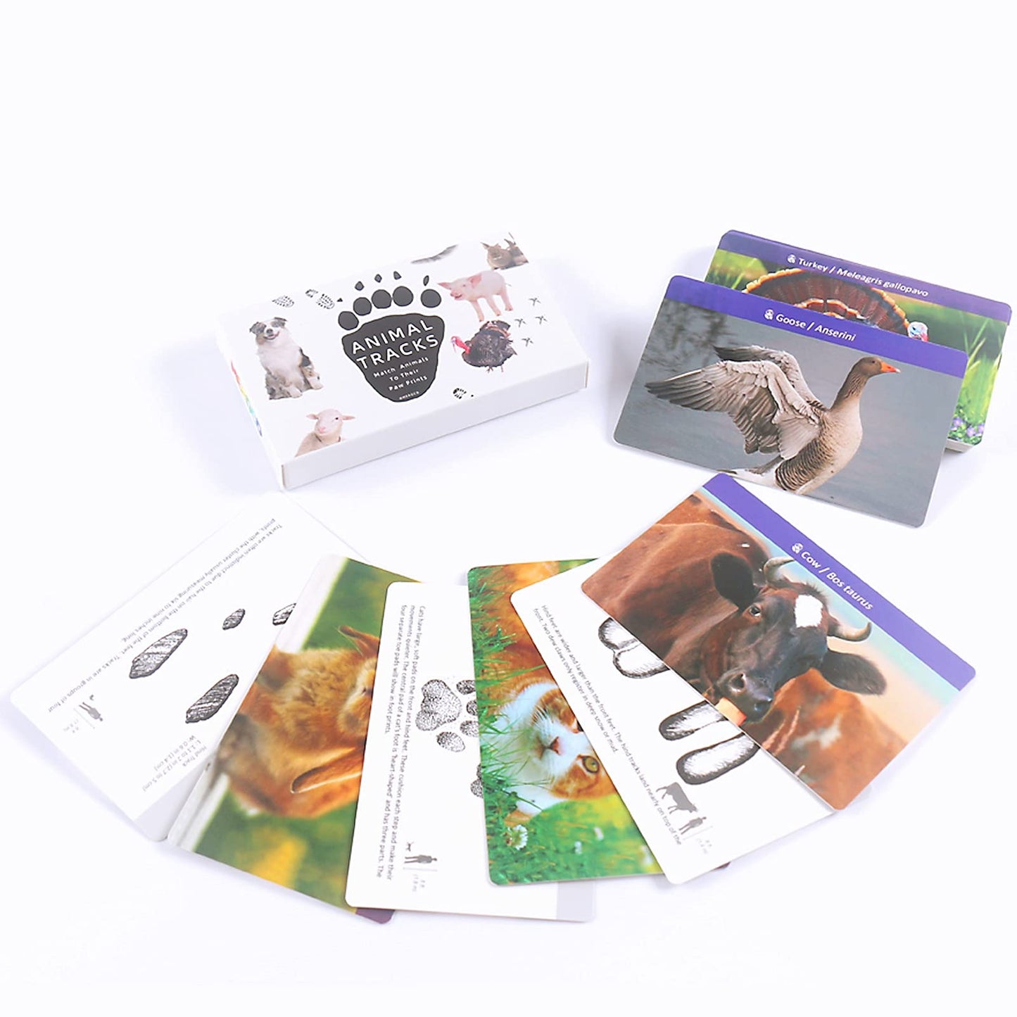 Montessori Animal Tracks Flash Cards Game