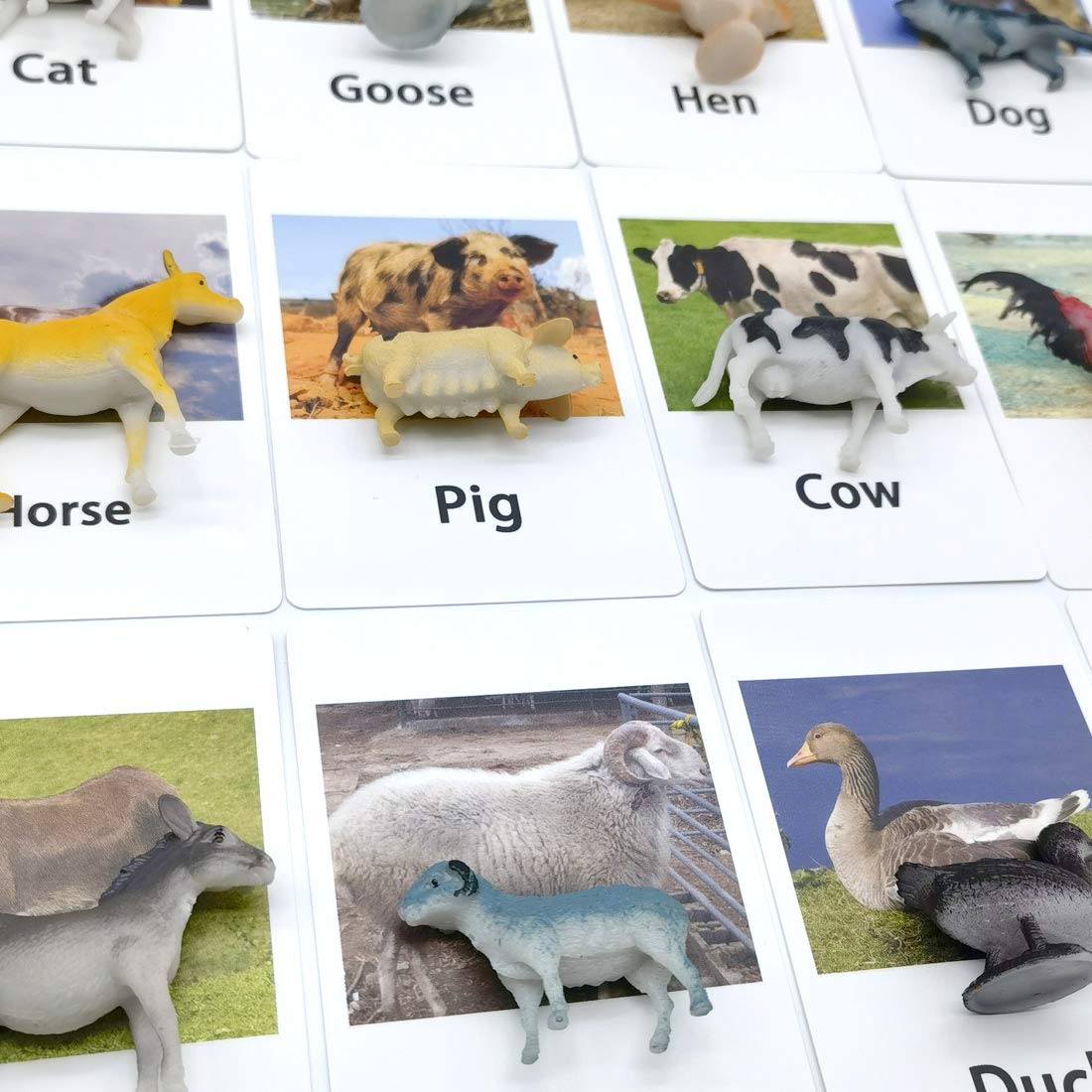 Montessori Animal Match - Poultry Animals