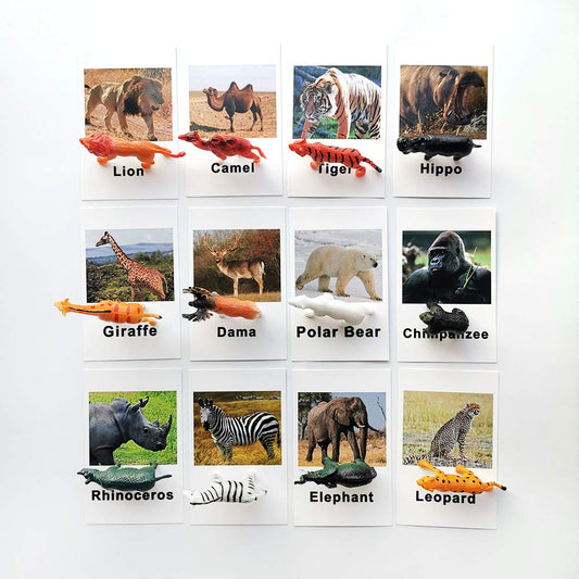 Montessori Animal Match - Forest Animal