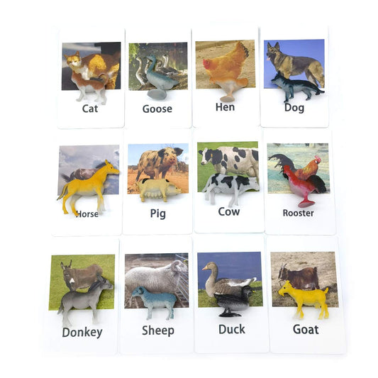 Montessori Animal Match - Poultry Animals