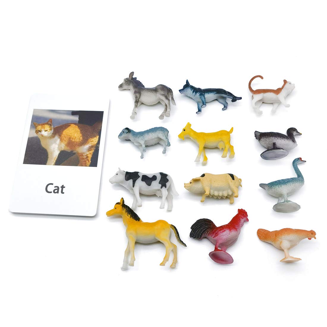 Montessori Animal Match - Poultry Animals