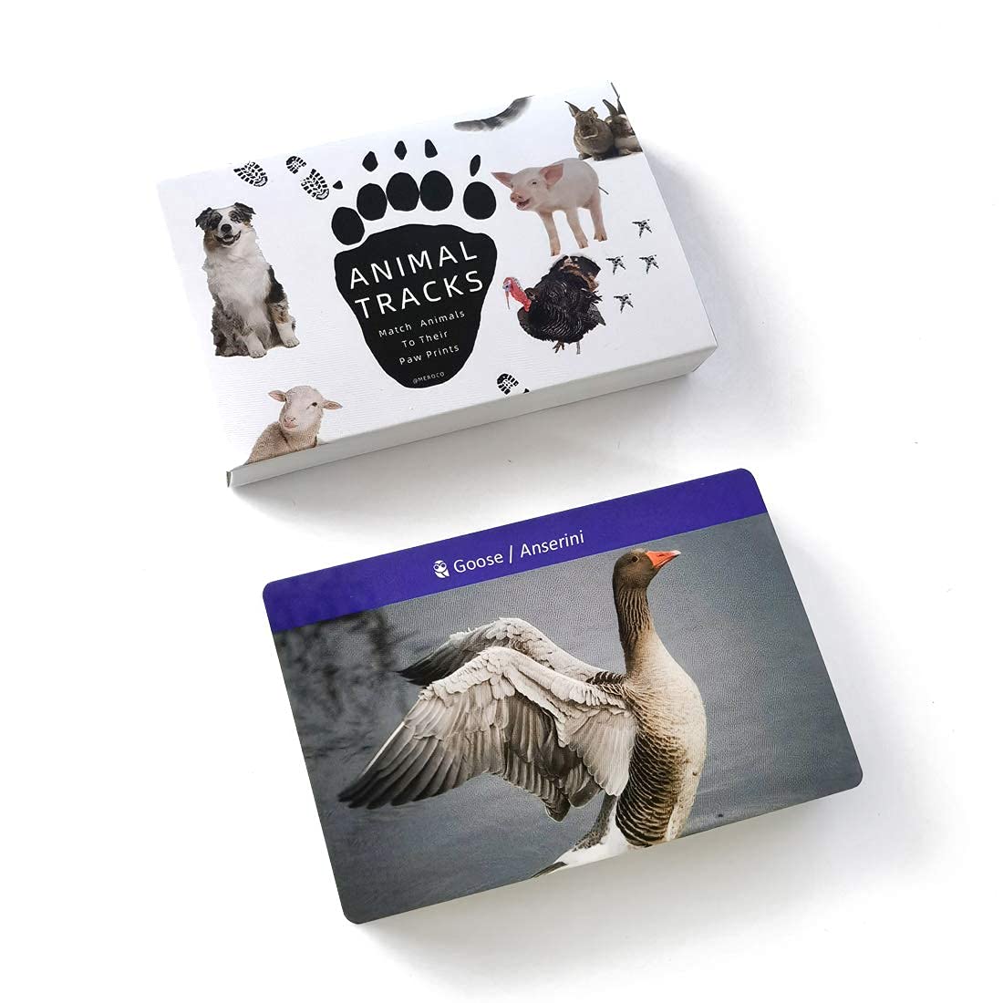 Montessori Animal Tracks Flash Cards Game