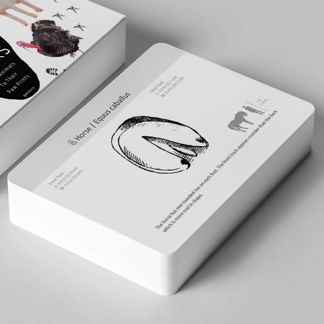 Montessori Animal Tracks Flash Cards Game