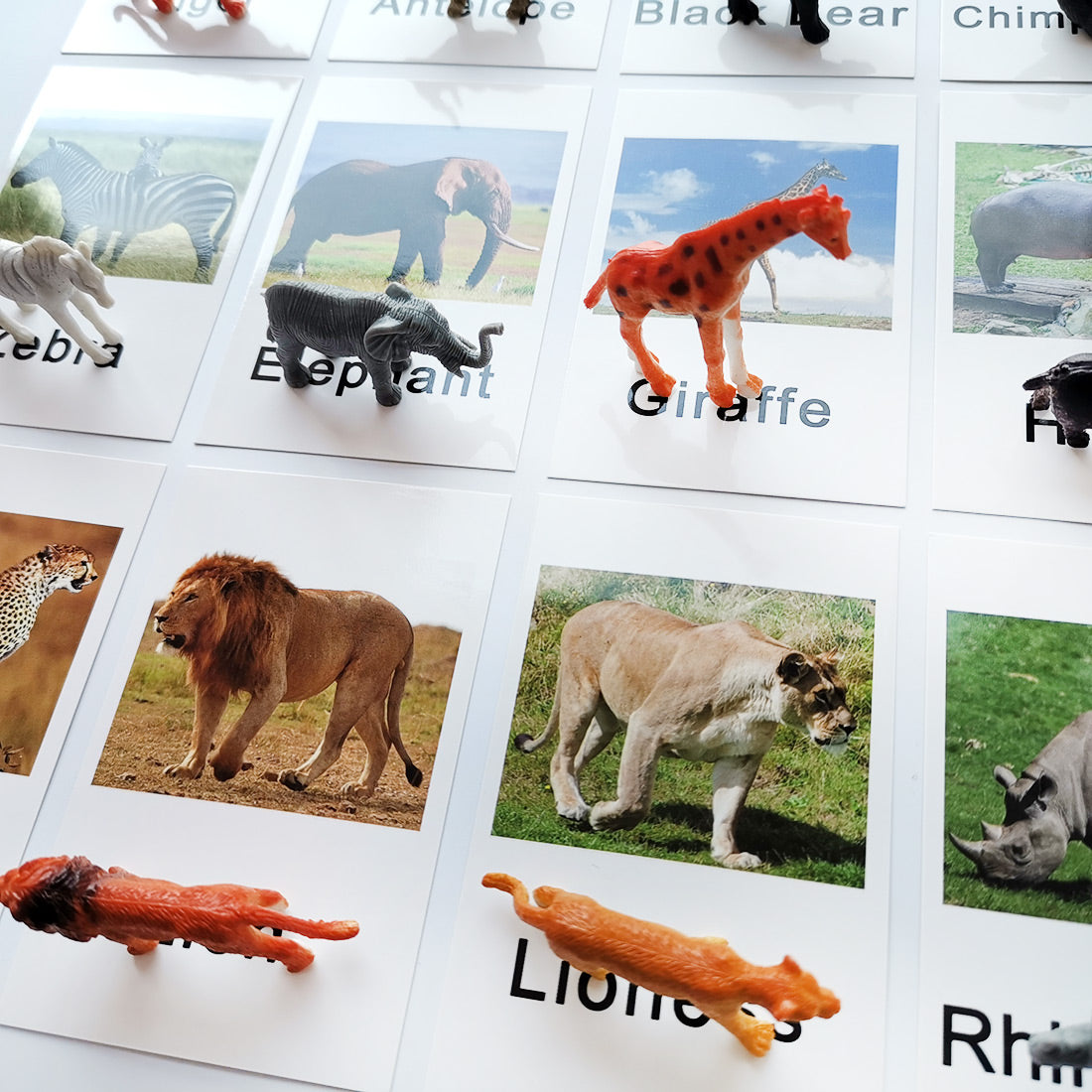 Montessori Animal Match -Zoo Animal