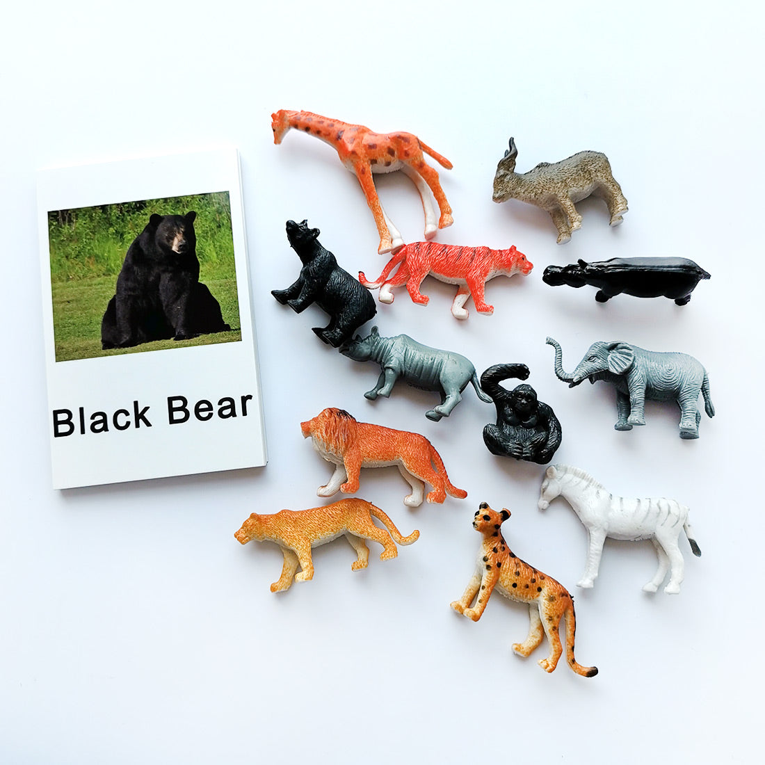 Montessori Animal Match -Zoo Animal