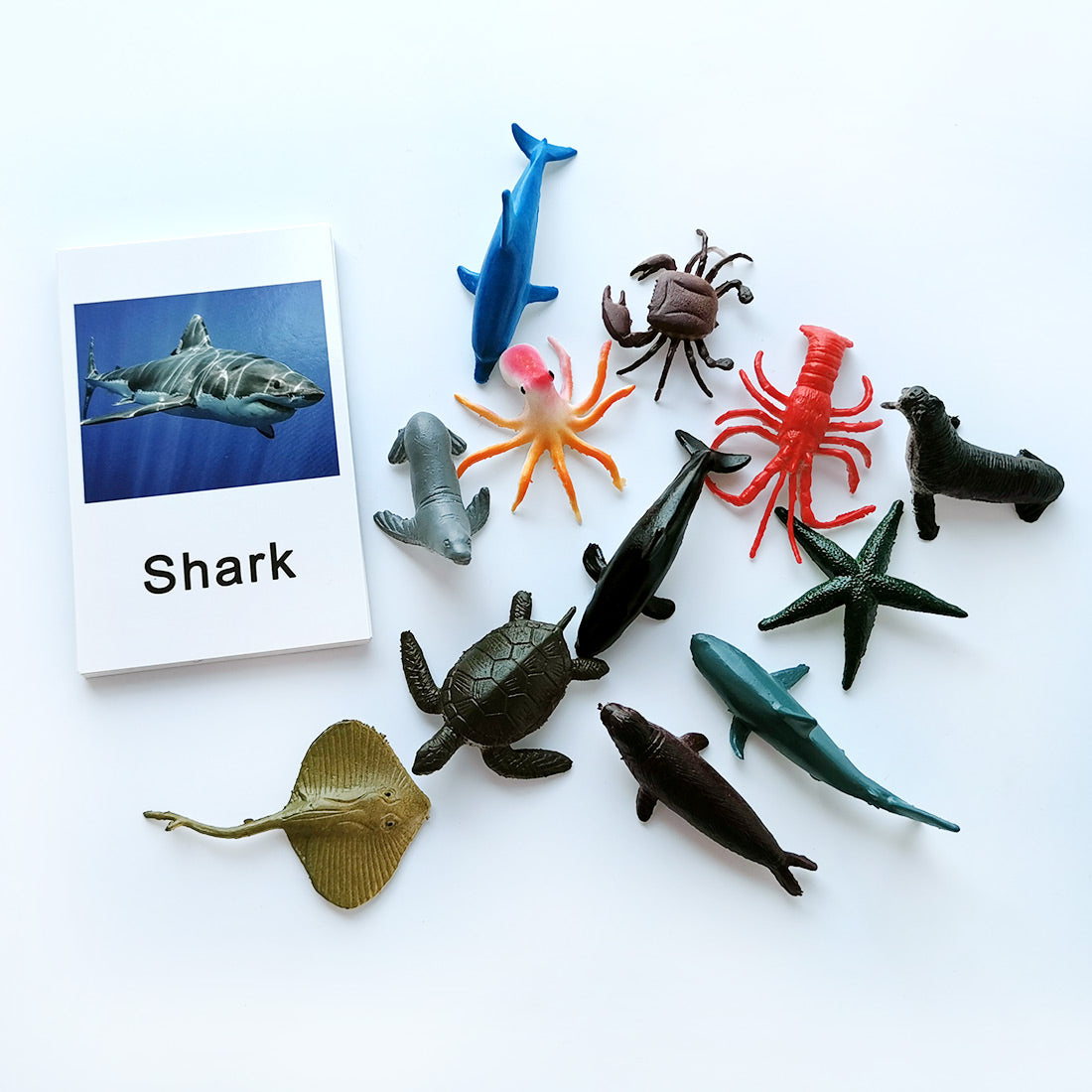 Montessori Animal Match - Marine Animal