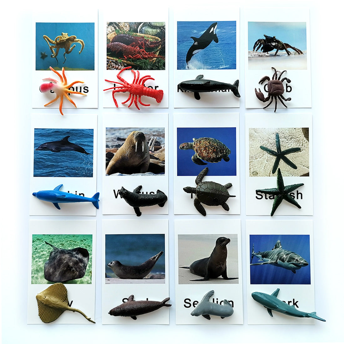 Montessori Animal Match - Marine Animal