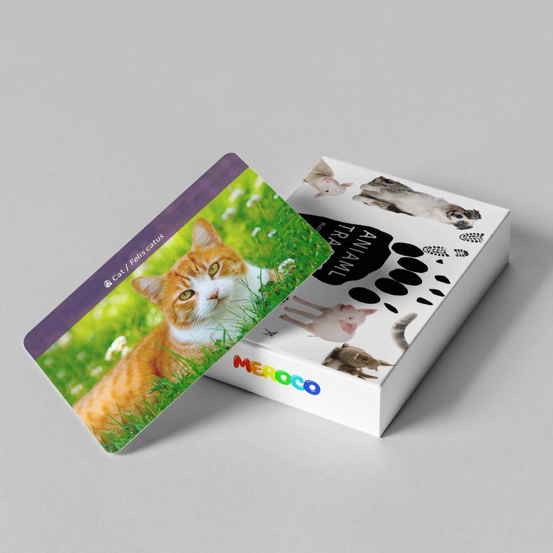 Montessori Animal Tracks Flash Cards Game