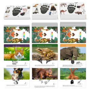 Animal Footprint Matching Game - Wild Animals Flash Cards Toys For Autistic Child Age 4 (1)
