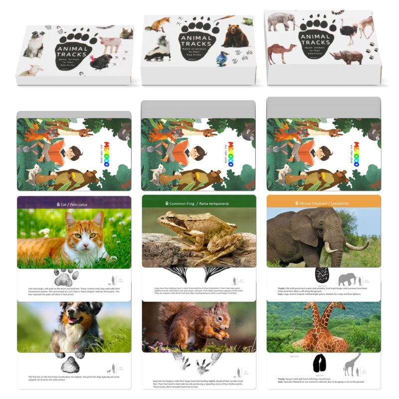 Animal Footprint Matching Game - Wild Animals Flash Cards Toys For Autistic Child Age 4 (1)