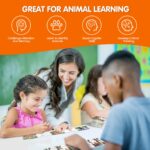 Animal Footprint Matching Game - Wild Animals Flash Cards Toys For Autistic Child Age 4 (2)