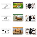 Animal Footprint Matching Game - Wild Animals Flash Cards Toys For Autistic Child Age 4 (9)