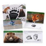 Animal Track Matching Game Forest Animals Figurines Materials In Montessori Classroom (1)