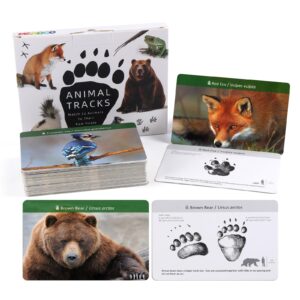 Animal Track Matching Game Forest Animals Figurines Materials In Montessori Classroom (1)
