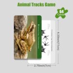 Animal Track Matching Game Forest Animals Figurines Materials In Montessori Classroom (3)