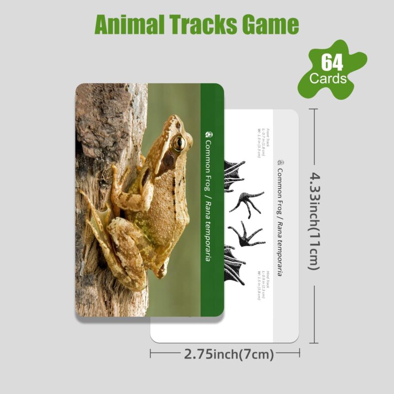 Animal Track Matching Game Forest Animals Figurines Materials In Montessori Classroom (3)