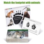 Animal Track Matching Game Forest Animals Figurines Materials In Montessori Classroom (8)