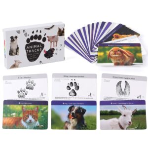 Farm Animal Tracks Cards​ - Therapy Card Games - Autistic Toys For Kids (1)