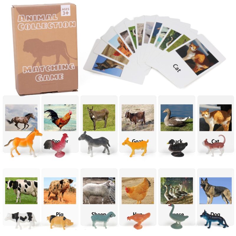 Farm Animals Flashcards Figurines - Learning Toys Montessori Language Materials (1)