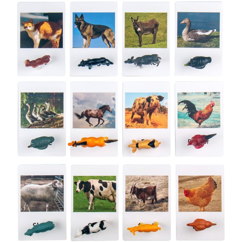 Farm Animals Flashcards Figurines - Learning Toys Montessori Language Materials (2)