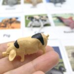 Farm Animals Flashcards Figurines - Learning Toys Montessori Language Materials (5)