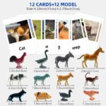 Farm Animals Flashcards Figurines - Learning Toys Montessori Language Materials (6)