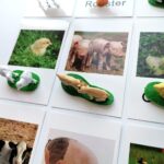Miniature Farm Animal Figurines With Matching Cards - Learning Toys Montessori Preschool Language Materials (5)