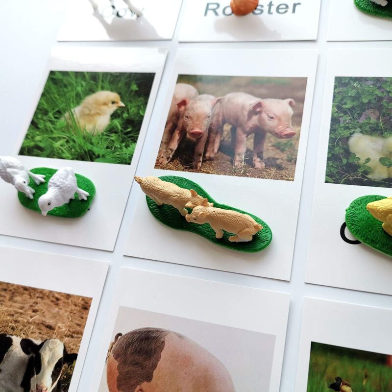 Miniature Farm Animal Figurines With Matching Cards - Learning Toys Montessori Preschool Language Materials (5)